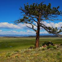 River View Ranch