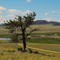 River View Ranch images 4