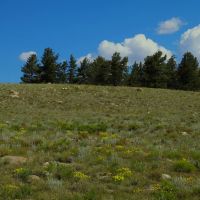 River View Ranch images 5