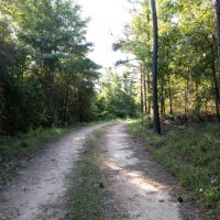 10.5 - Ac. Lee County images 5