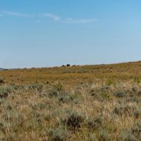 Dumbrill Creek Ranch images 2