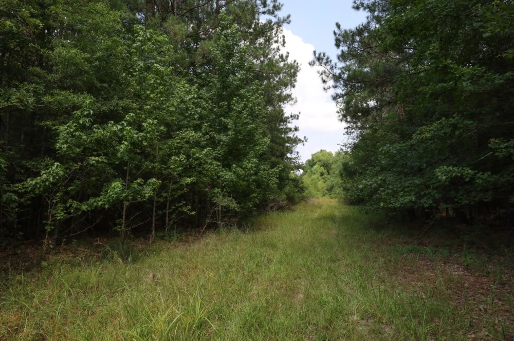 LA - Caldwell 57 acres - featured image