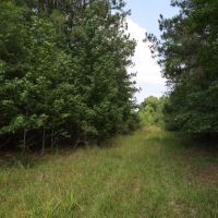 LA - Caldwell 57 acres -
