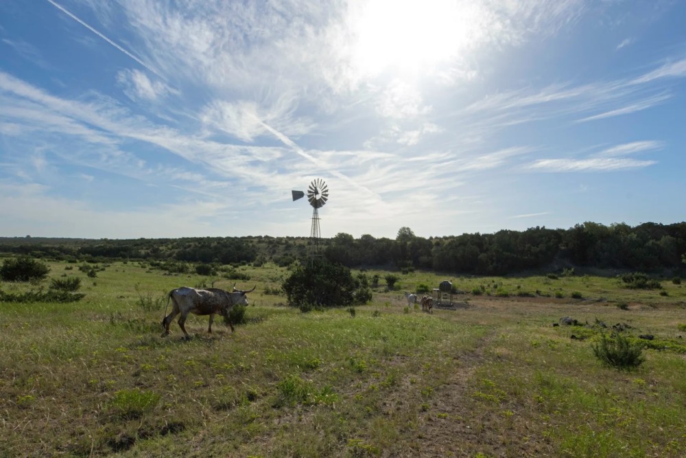 Barbell Ranch featured image