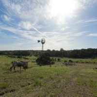Barbell Ranch