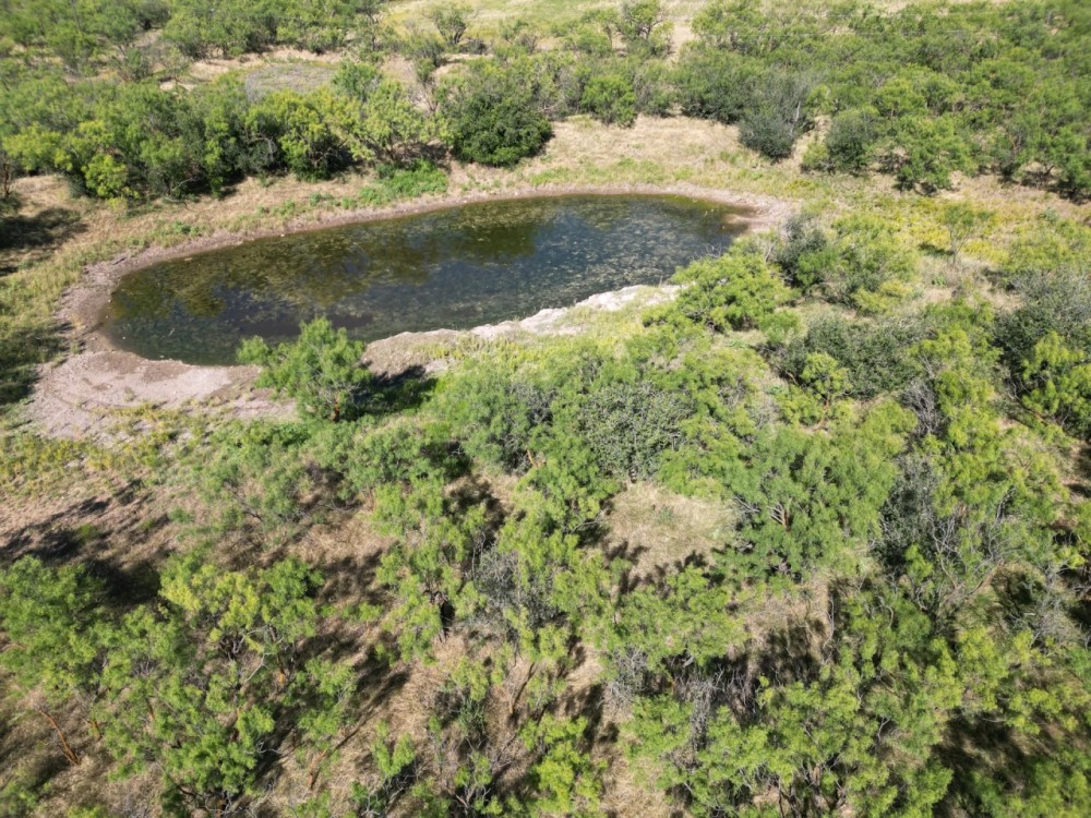 New Listing 98 - Acres Callahan County featured image