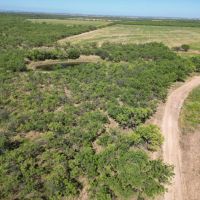 New Listing 98 - Acres Callahan County images 2