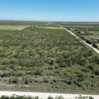 New Listing 98 - Acres Callahan County images 3