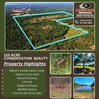 120 Acre Conservation Beauty