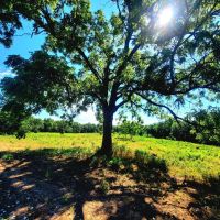 120 Acre Conservation Beauty images 4