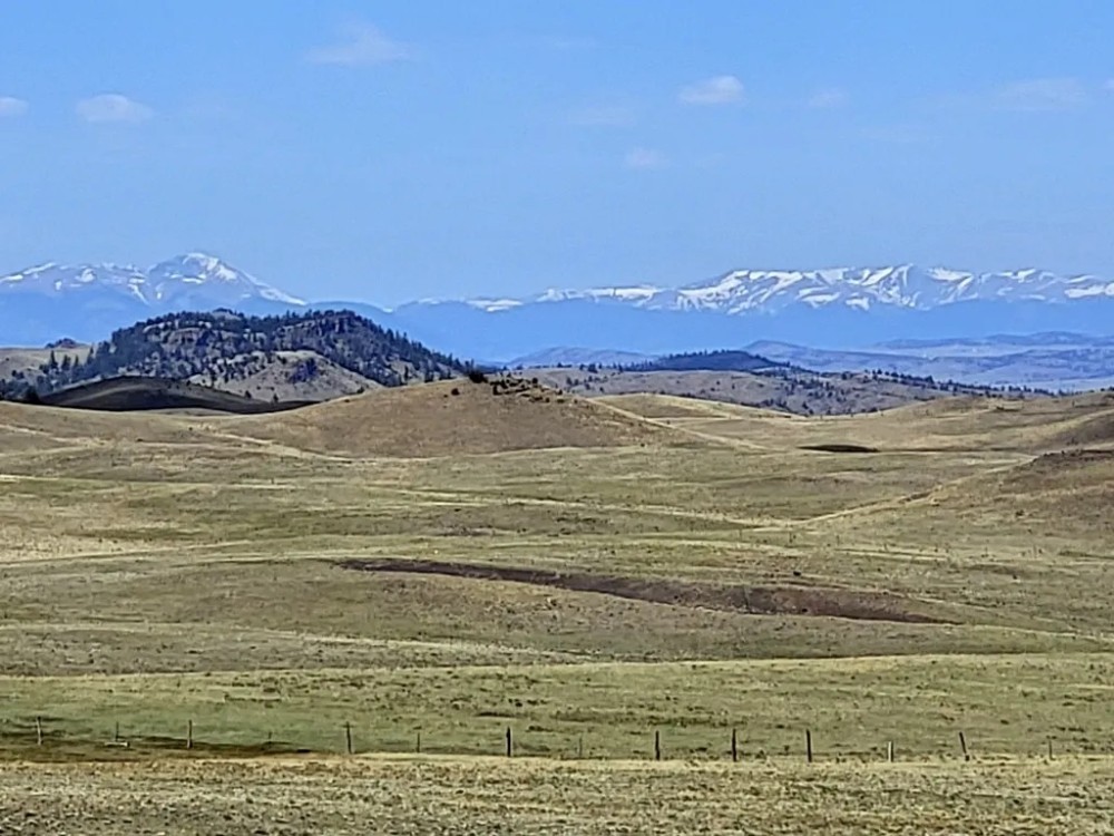 Meacham Ranch featured image