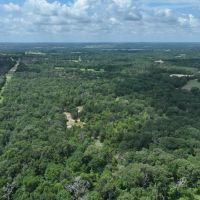 Off-Grid and Hunting Property in Fairfield Texas images 4