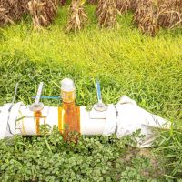 Louisiana Delta Ag With CRP images 2