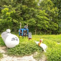Louisiana Delta Ag With CRP images 3