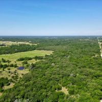 Lone Grove 78 images 3