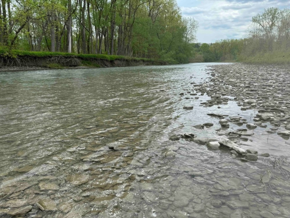 50 acres Tillable Land with Income and Hunting Land bordering Cattaraugus Creek in West Valley NY 6610 Thomas Corners Rd featured image