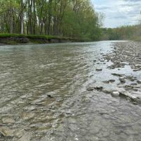 50 acres Tillable Land with Income and Hunting Land bordering Cattaraugus Creek in West Valley NY 6610 Thomas Corners Rd