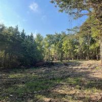 000 County Road 35980 Powderly TX 75473 images 3