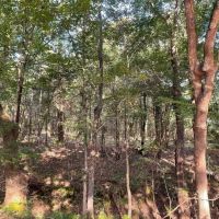 000 County Road 35980 Powderly TX 75473 images 4