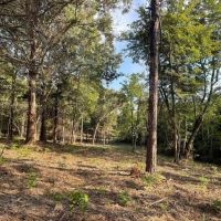 000 County Road 35980 Powderly TX 75473 images 5