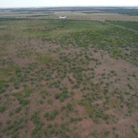 Back on the Market 75 - Acres Jones County images 1
