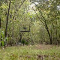 Hunting Land for Sale Just Outside of Baton Rouge images 1