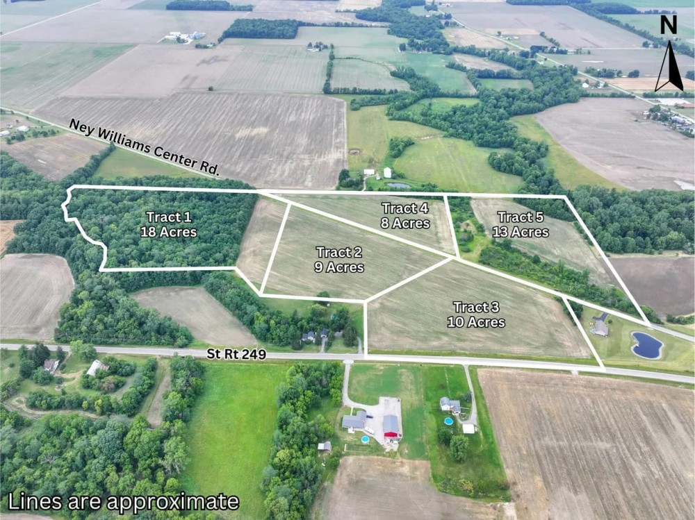 Land Auction - 56 Acres - Defiance County featured image