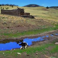 Meacham Ranch images 3