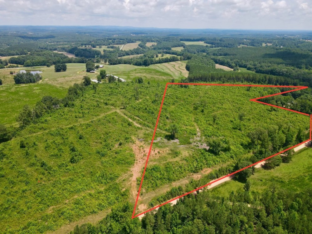 Tract 2- 16.5 - Ac Woodland featured image