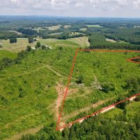 Tract 2- 16.5 - Ac Woodland