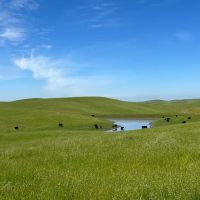 Redington Ranch