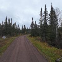 Whispering Pines Preserve 80 images 3