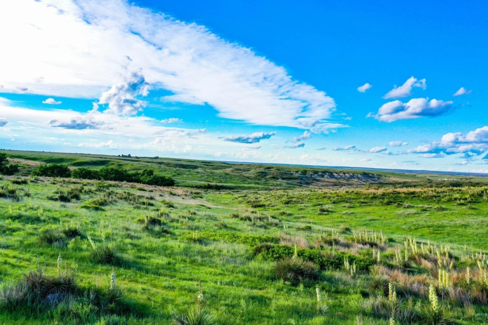 Gove County Canyons featured image