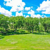 Gove County Canyons images 3