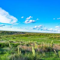Gove County Canyons images 4