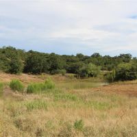New Listing 27.59 - Acres Eastland County images 2