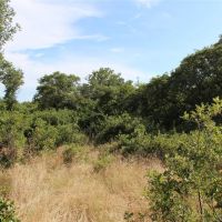 New Listing 27.59 - Acres Eastland County images 3