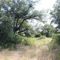 New Listing 27.59 - Acres Eastland County images 4