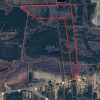 Prime 48.3-Acre Timber Tract Near Plymouth NC - Ideal for Hunting Investment