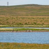 Wagner Ranch images 2