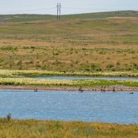 Wagner Ranch images 5