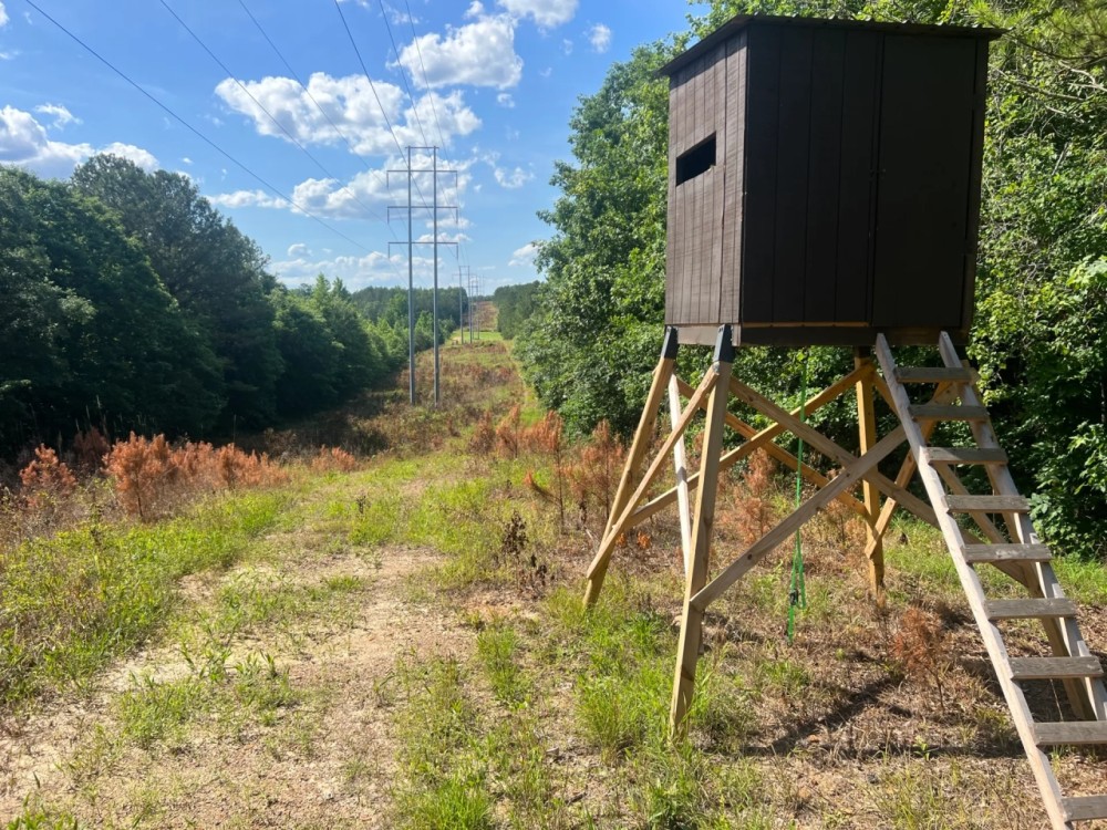 46 - acres Marion County featured image