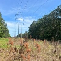 46 - acres Marion County images 2