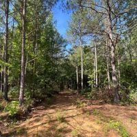 46 - acres Marion County images 4