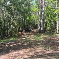 46 - acres Marion County images 5