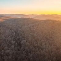 House Springs Hollow images 3