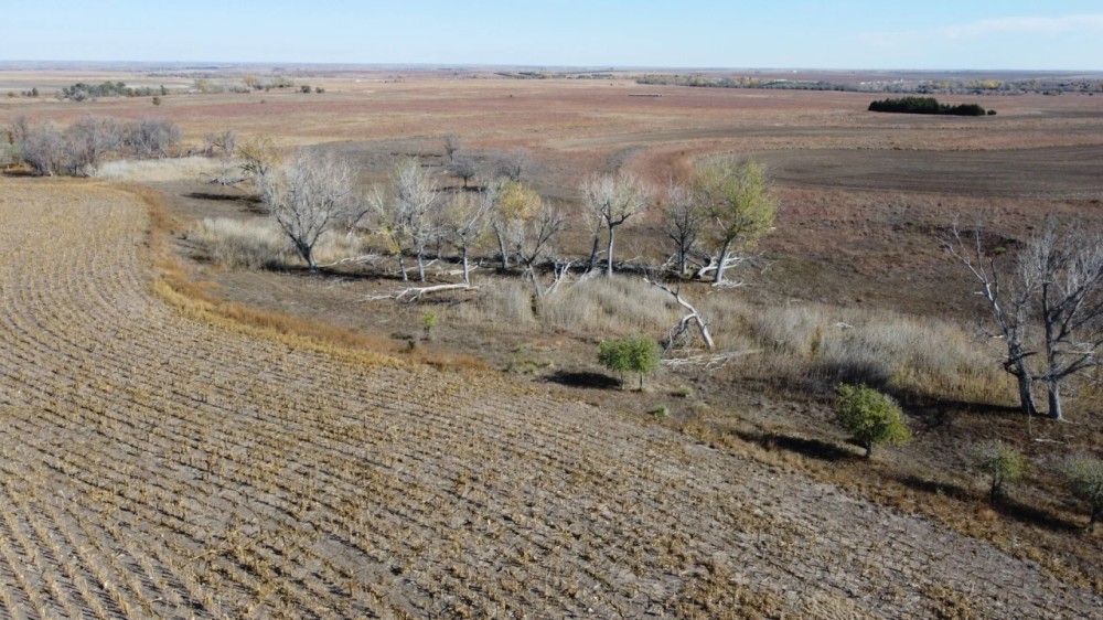Rooks County Cultivation and Grass featured image