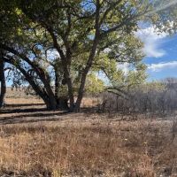 Rooks County Cultivation and Grass images 4