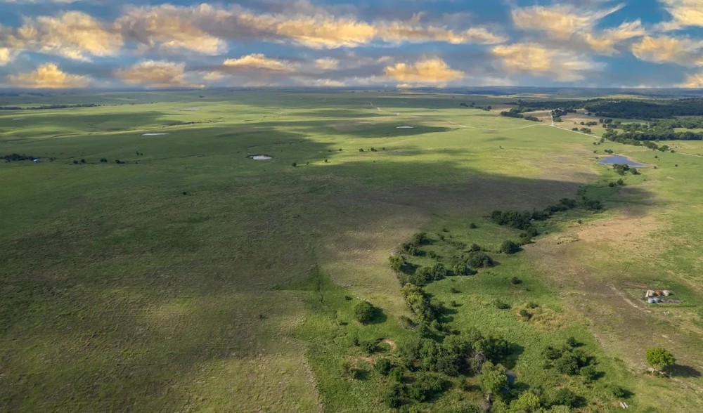 55 Acres in Washington County featured image