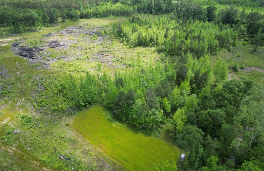 45 Acres in Oktibbeha County in Sturgis MS featured image